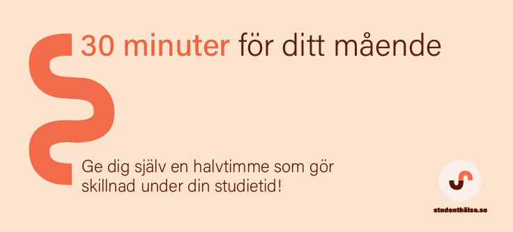 30 minuter f&ouml;r ditt m&aring;ende